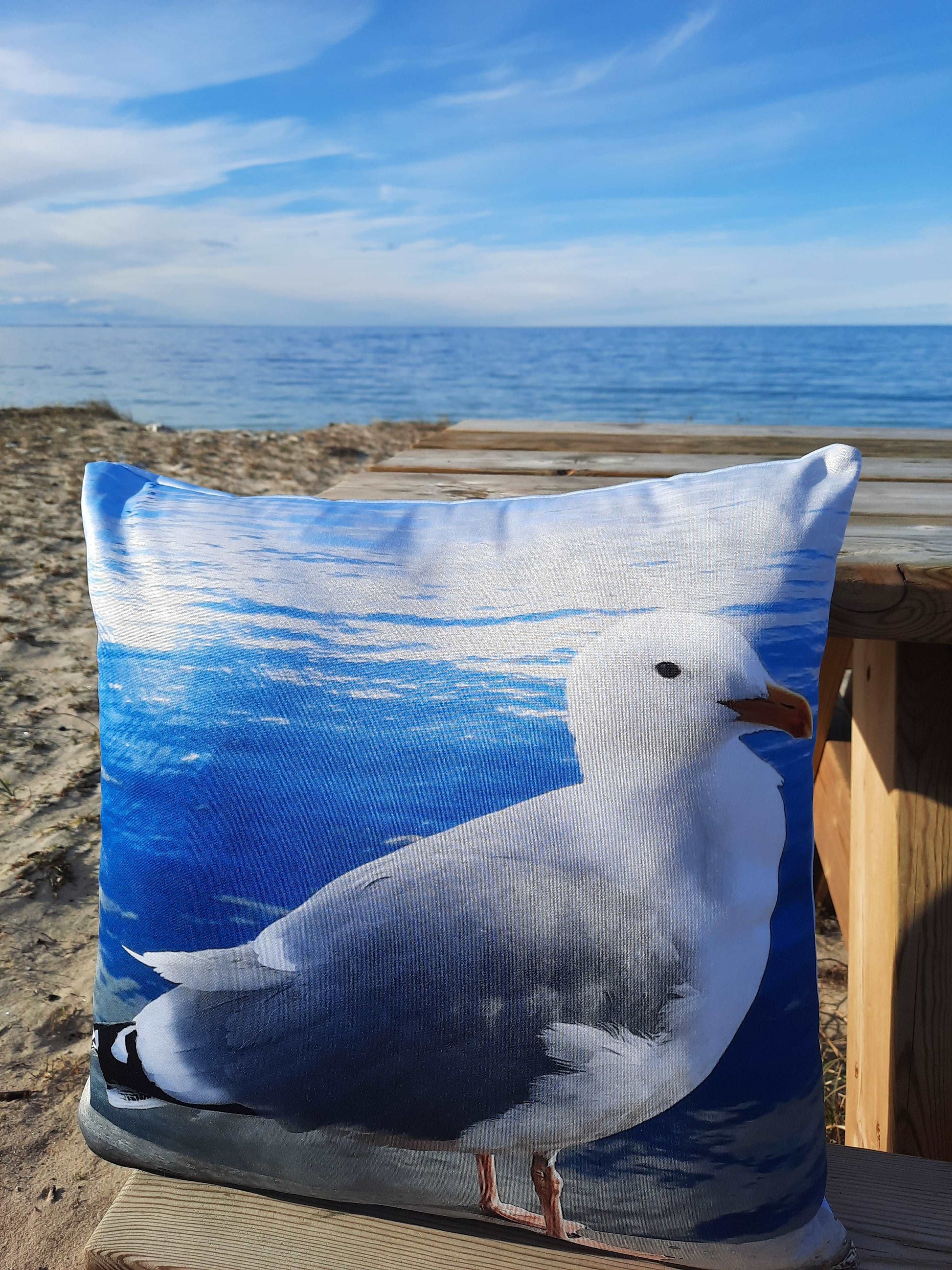 Throw pillow Blue Seagull