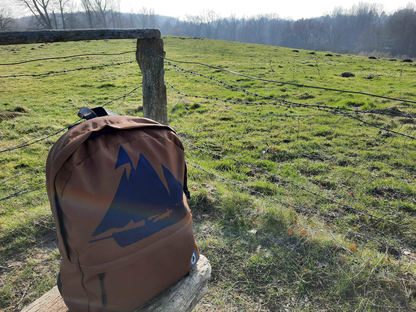 Brown backpack sailing ship