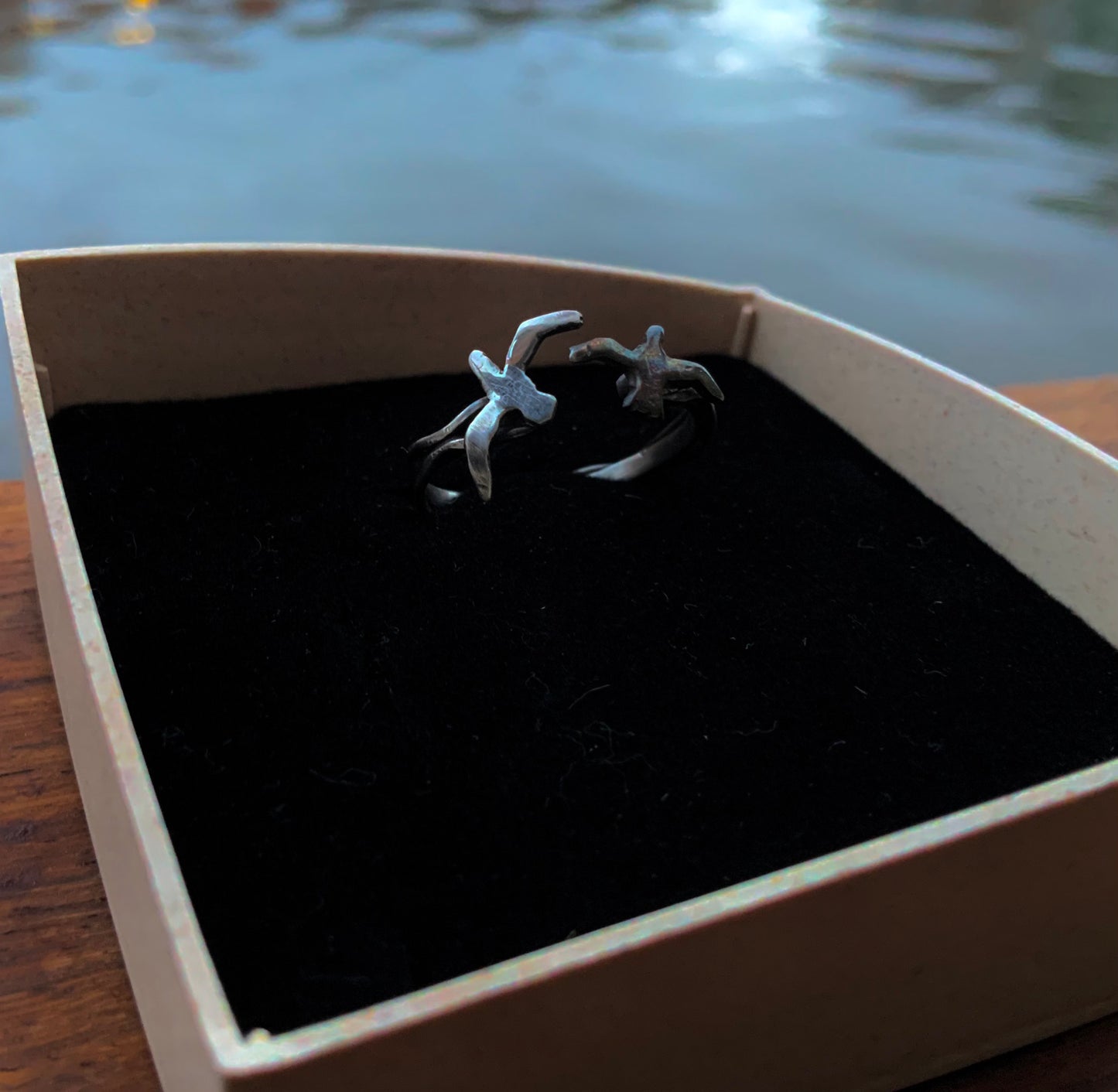 Coastal Ambience silver ring with seagulls