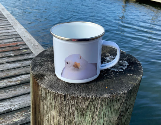 Lokkimuki tuijottava lokki laiturilla