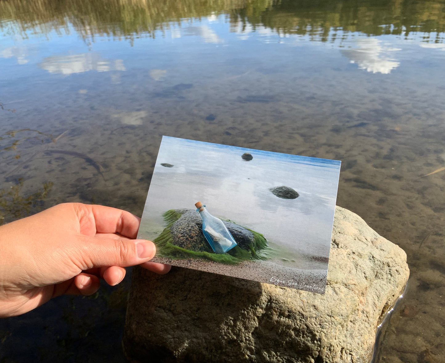 Postcard Message in a Bottle