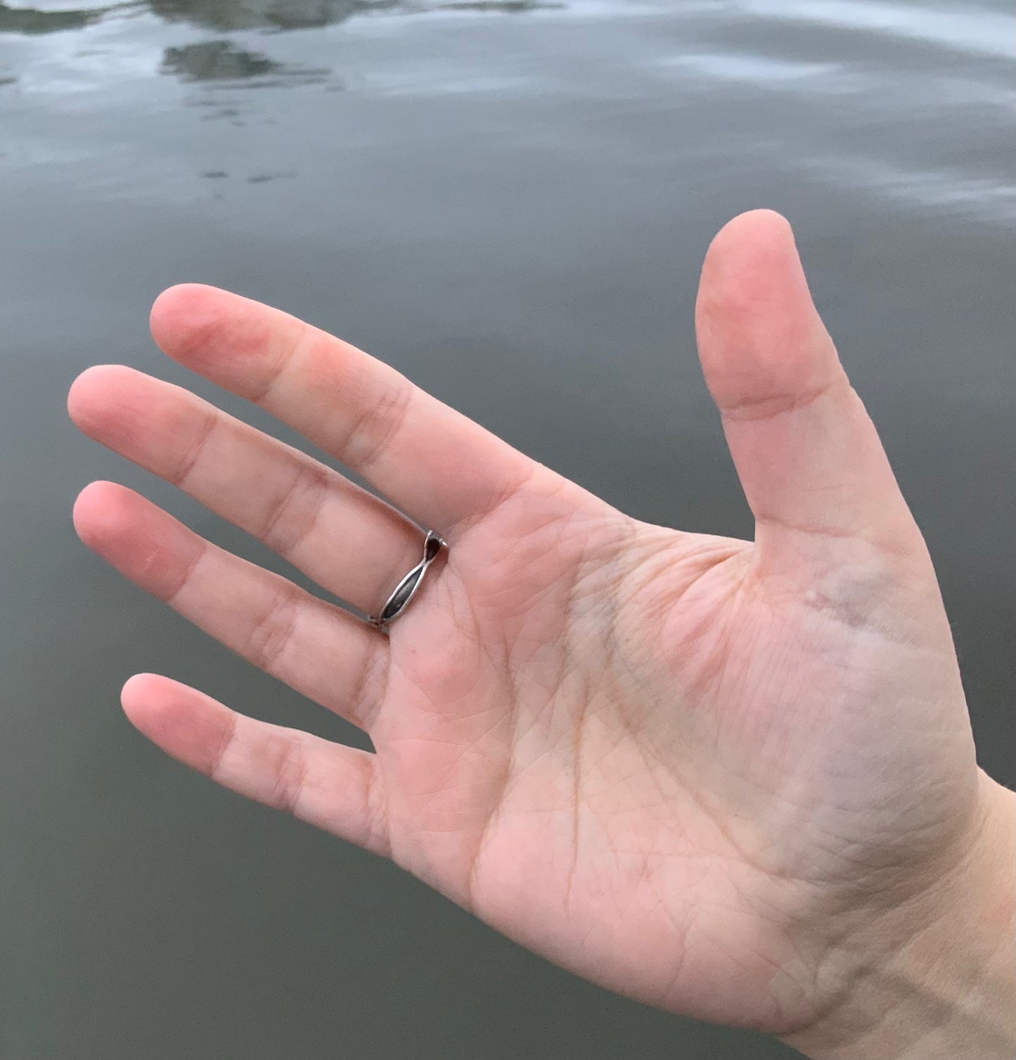 Seagull ring "Coastal Ambience"