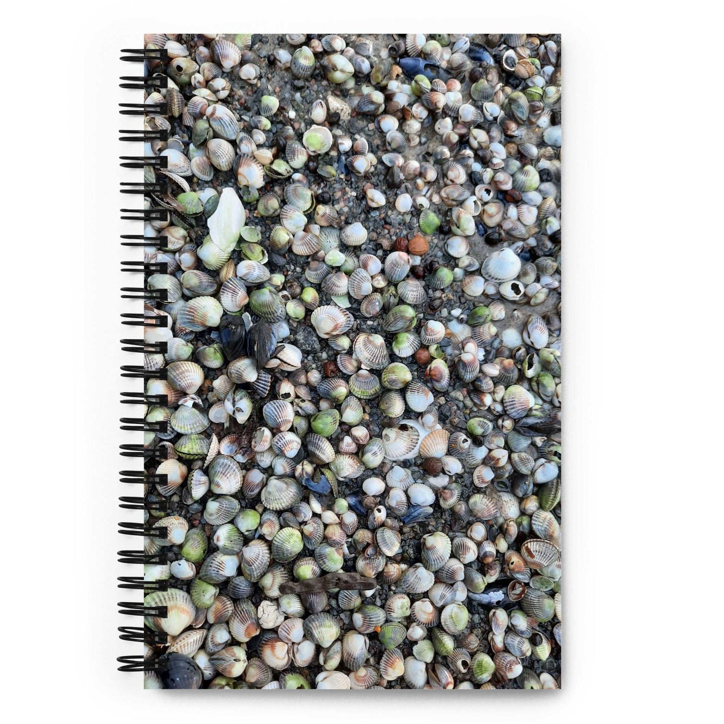 Beautiful Seashell notebook EU