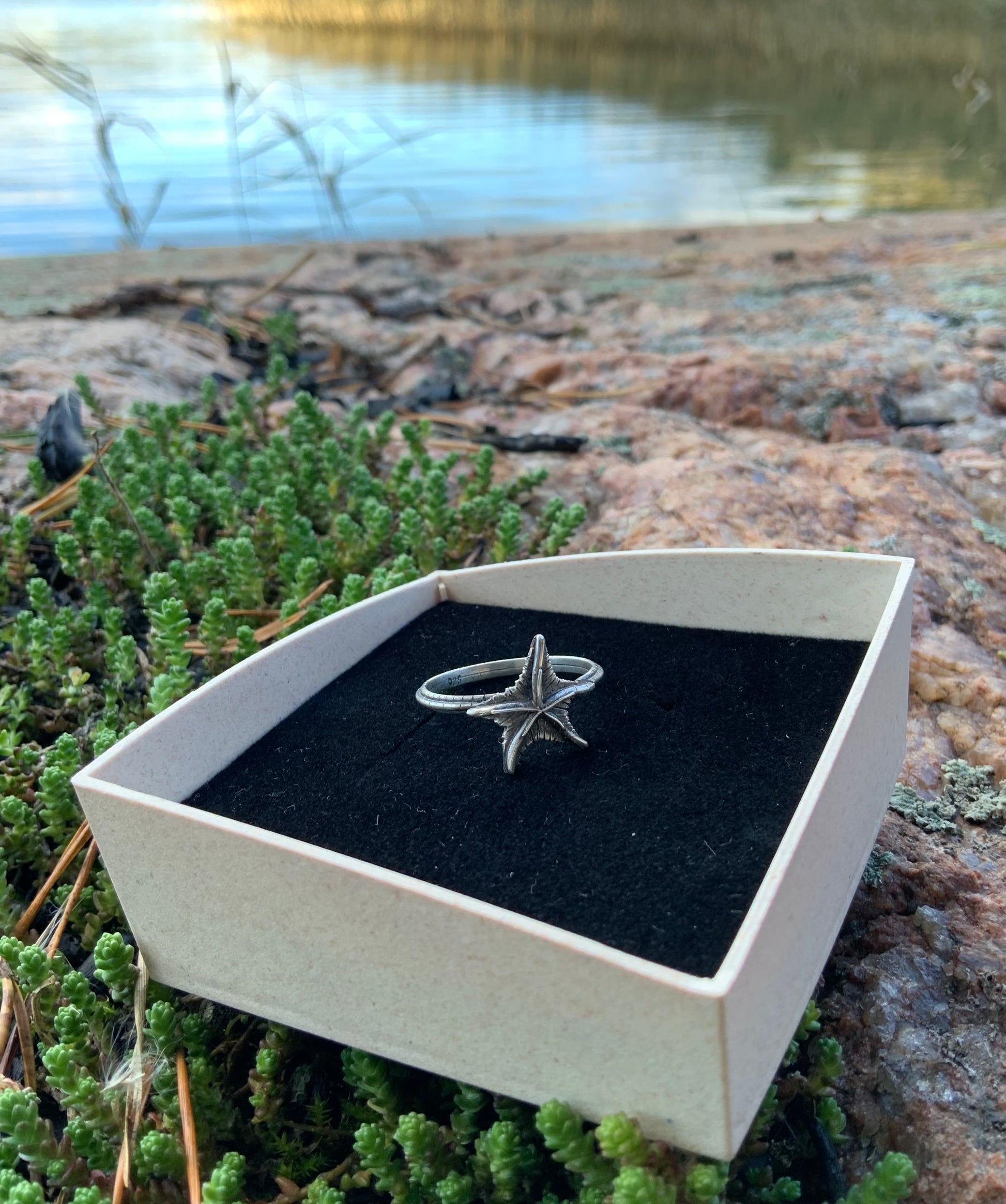 Silver Starfish ring in a box on a natural background with water and rocks