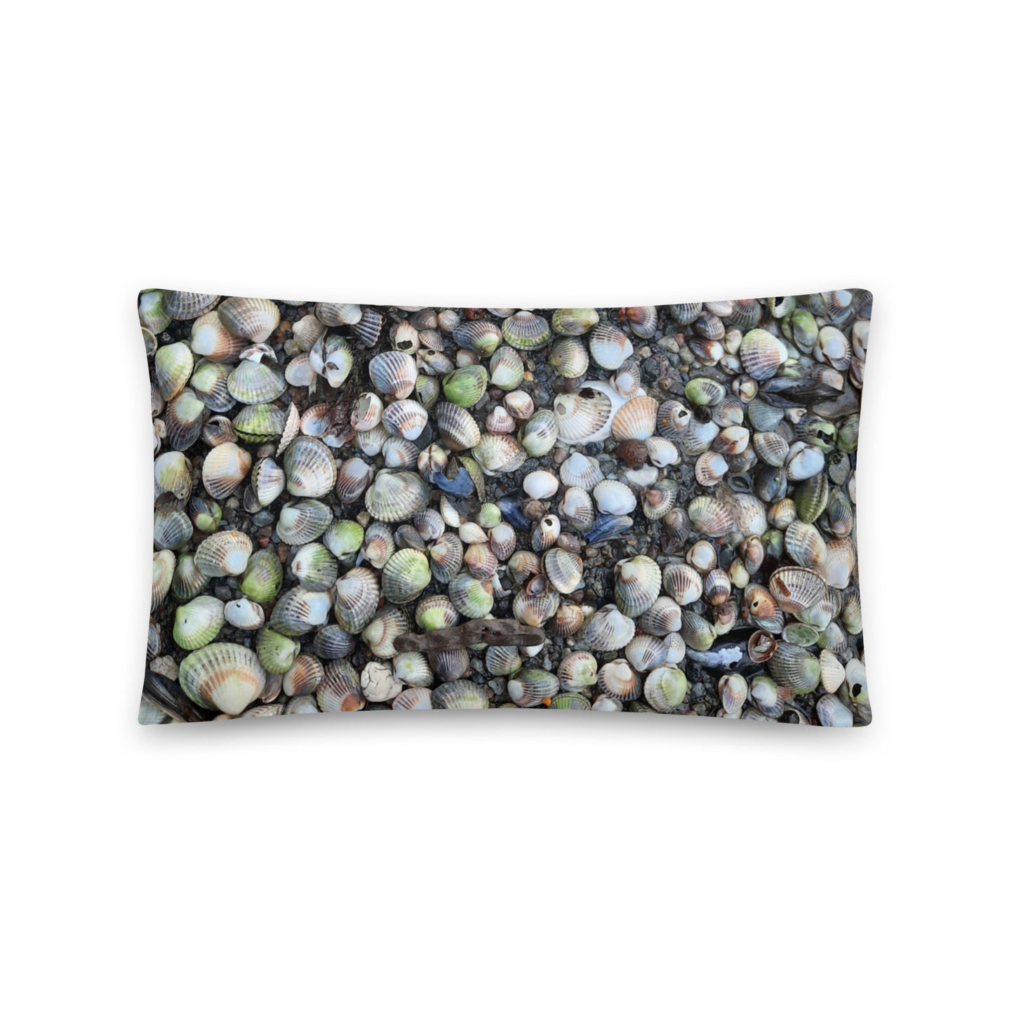 Seashell throw pillow Seashells on the Shore